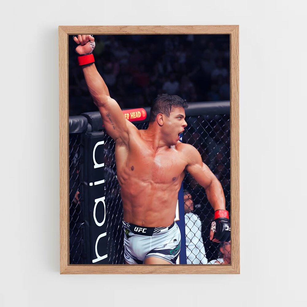 Poster La Cage Rouge – affiche MMA (vue 4)